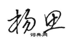 駱恆光楊思草書個性簽名怎么寫