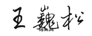 駱恆光王巍松行書個性簽名怎么寫