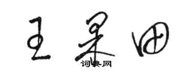 駱恆光王果田草書個性簽名怎么寫