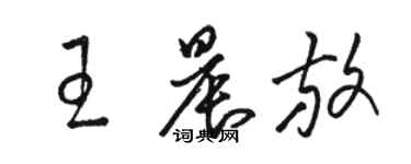 駱恆光王晨放草書個性簽名怎么寫