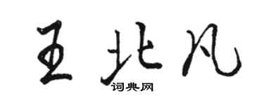 駱恆光王北凡行書個性簽名怎么寫