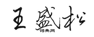 駱恆光王盛松行書個性簽名怎么寫