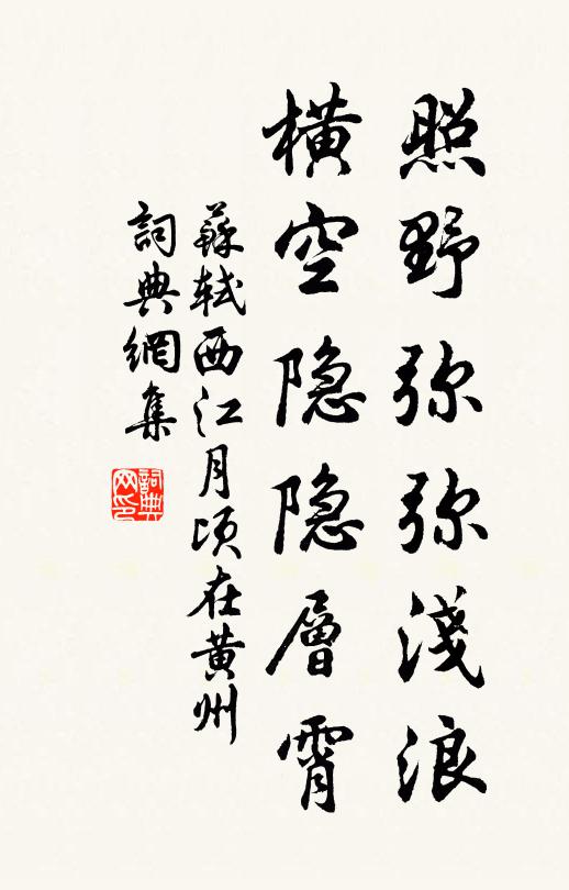 蘇軾照野瀰瀰淺浪,橫空隱隱層霄。書法作品欣賞