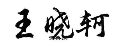 胡問遂王曉軻行書個性簽名怎么寫