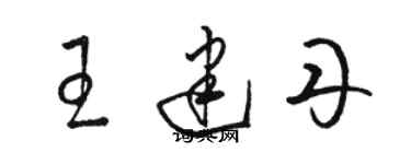 駱恆光王建丹草書個性簽名怎么寫