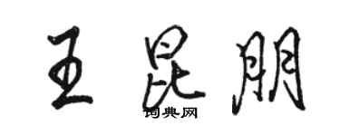 駱恆光王昆朋行書個性簽名怎么寫