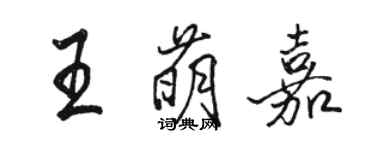 駱恆光王萌嘉行書個性簽名怎么寫