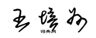朱錫榮王培州草書個性簽名怎么寫