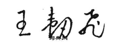 駱恆光王韌飛草書個性簽名怎么寫