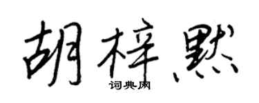 王正良胡梓默行書個性簽名怎么寫