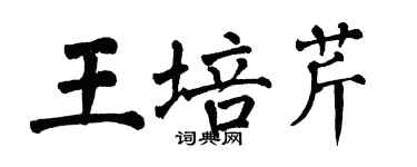 翁闓運王培芹楷書個性簽名怎么寫