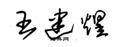 朱錫榮王建煜草書個性簽名怎么寫