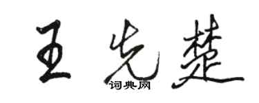 駱恆光王先楚行書個性簽名怎么寫