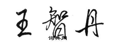 駱恆光王智丹行書個性簽名怎么寫