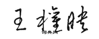 駱恆光王權映草書個性簽名怎么寫