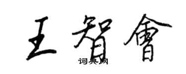 王正良王智會行書個性簽名怎么寫