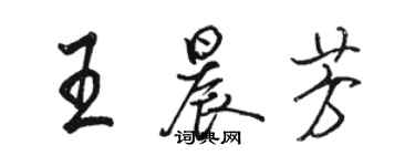 駱恆光王晨芳行書個性簽名怎么寫