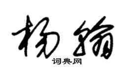 朱錫榮楊翰草書個性簽名怎么寫