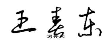 曾慶福王春東草書個性簽名怎么寫