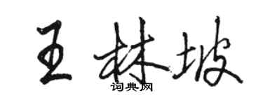 駱恆光王林坡行書個性簽名怎么寫