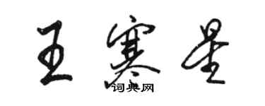 駱恆光王寒星行書個性簽名怎么寫