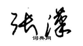 朱錫榮張漢草書個性簽名怎么寫