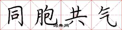 荊霄鵬同胞共氣楷書怎么寫