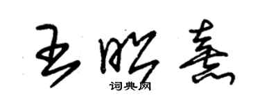 朱錫榮王昭熹草書個性簽名怎么寫