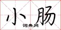荊霄鵬小腸楷書怎么寫