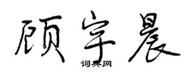 曾慶福顧宇晨行書個性簽名怎么寫