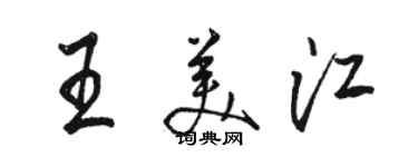 駱恆光王美江行書個性簽名怎么寫