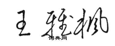 駱恆光王雅楓草書個性簽名怎么寫
