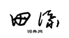 朱錫榮田添草書個性簽名怎么寫