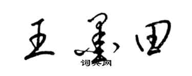 梁錦英王墨田草書個性簽名怎么寫