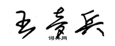 朱錫榮王夢兵草書個性簽名怎么寫