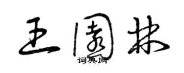 曾慶福王園林草書個性簽名怎么寫