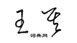 駱恆光王其草書個性簽名怎么寫