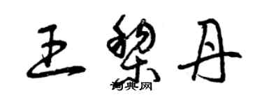 曾慶福王黎丹草書個性簽名怎么寫