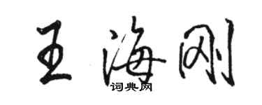 駱恆光王海剛行書個性簽名怎么寫