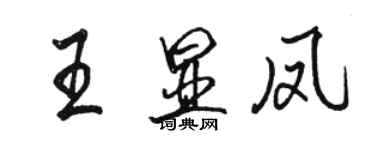 駱恆光王顯鳳行書個性簽名怎么寫