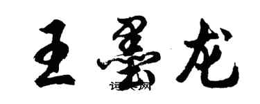 胡問遂王墨龍行書個性簽名怎么寫