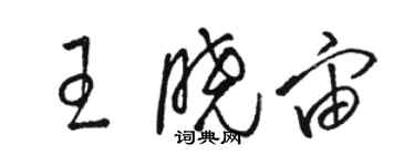 駱恆光王曉宙草書個性簽名怎么寫