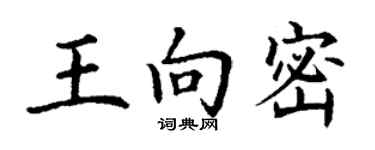 丁謙王向密楷書個性簽名怎么寫