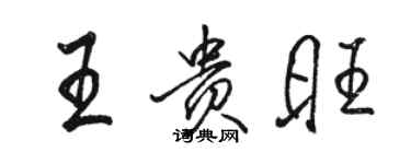 駱恆光王貴旺行書個性簽名怎么寫