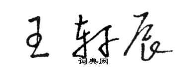 駱恆光王軒辰草書個性簽名怎么寫