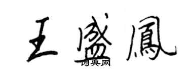 王正良王盛鳳行書個性簽名怎么寫