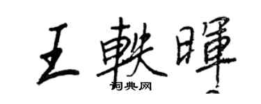 王正良王軼暉行書個性簽名怎么寫