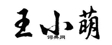 胡問遂王小萌行書個性簽名怎么寫