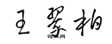 駱恆光王翠柏草書個性簽名怎么寫