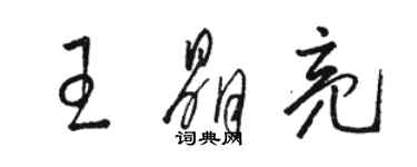 駱恆光王晶亮草書個性簽名怎么寫